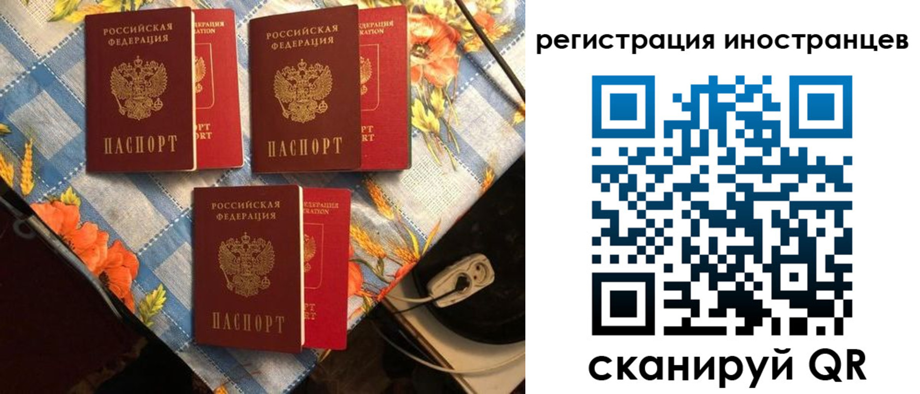 прописка поиск в Тульской области